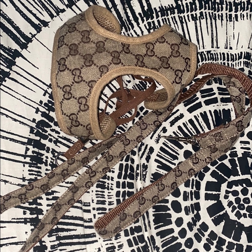 Gucci dog harness and leash